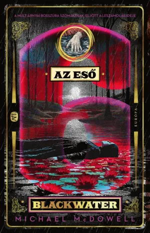 Az eső – Michael McDowell könyv borítója
