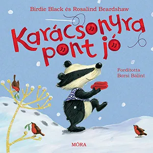 Karácsonyra pont jó – Birdie Black könyv borítója