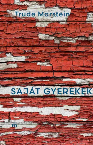 Saját gyerekek – Marstein könyv borítója