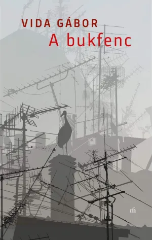 A bukfenc – Vida Gábor könyv borítója